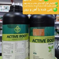 انواع ریشه زا