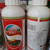دیکلرووس