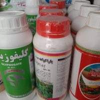 گلیفوزیت