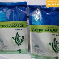 جلبک پرک مانند غنی شده با آهن و روی و گوگرد