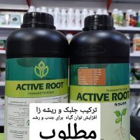 ترکیب جلبک ریشه زا
