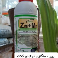 روی منگنز اگرارس اسپانیا