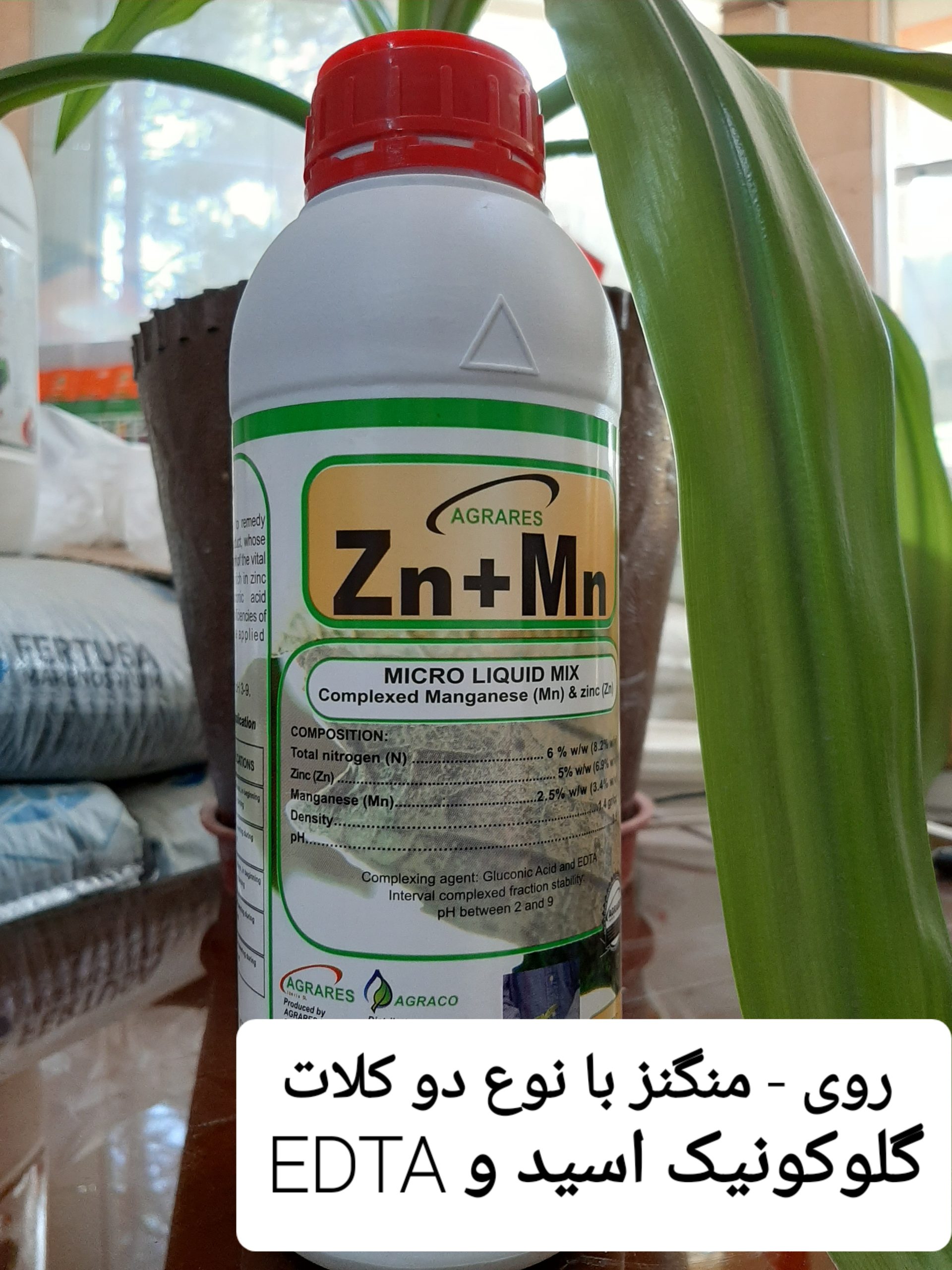 روی منگنز اگرارس اسپانیا